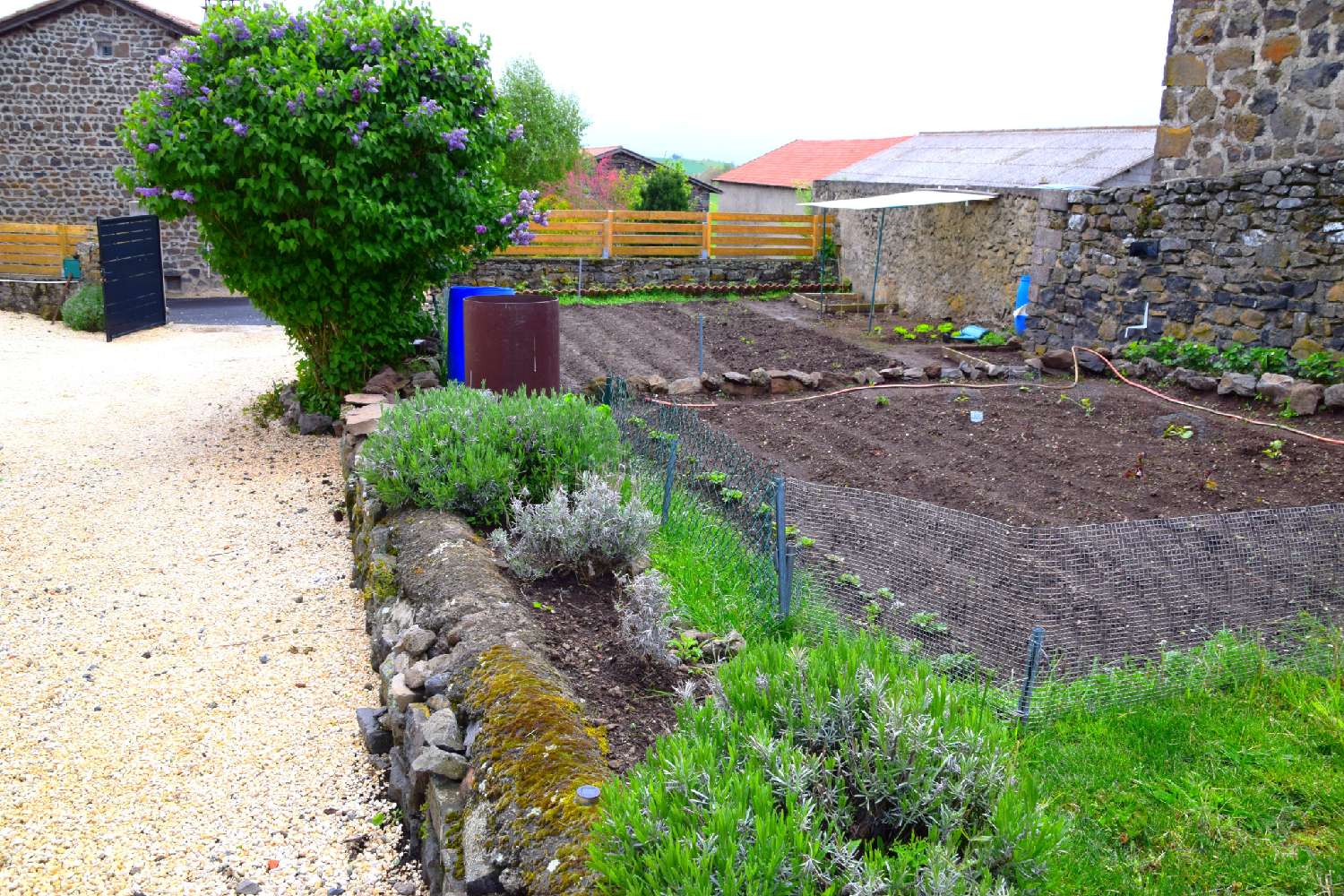  en venta casa rústica Landos Haute-Loire 6