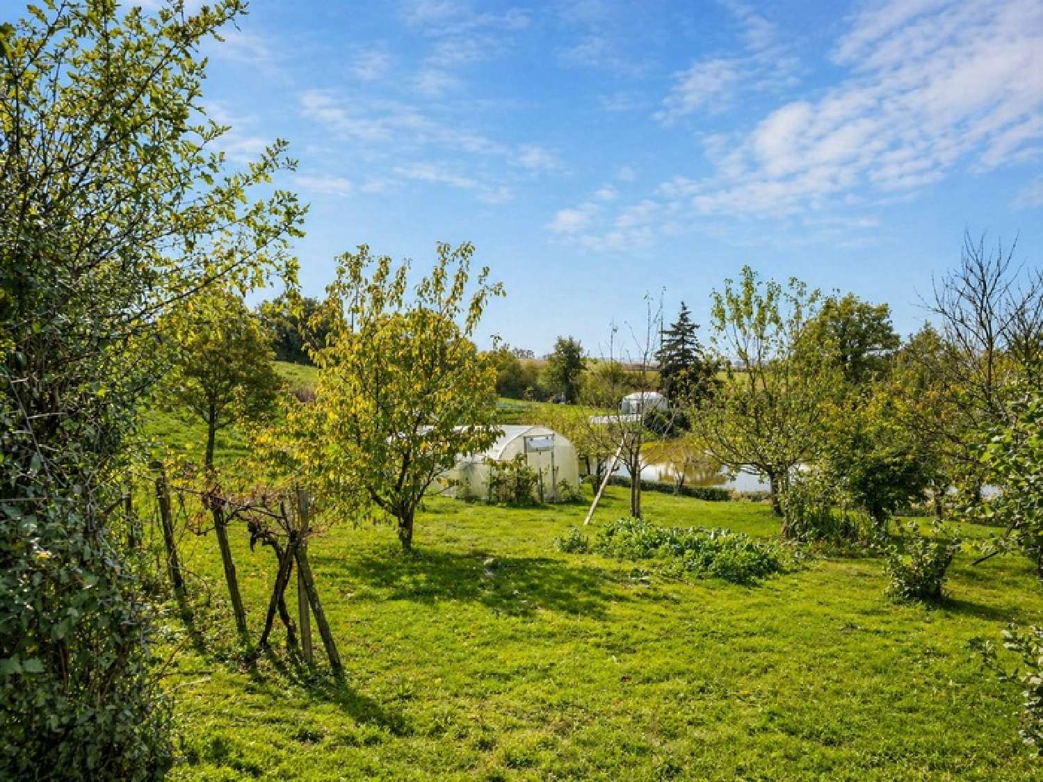 à vendre ferme Le Puy-Saint-Bonnet Maine-et-Loire 2