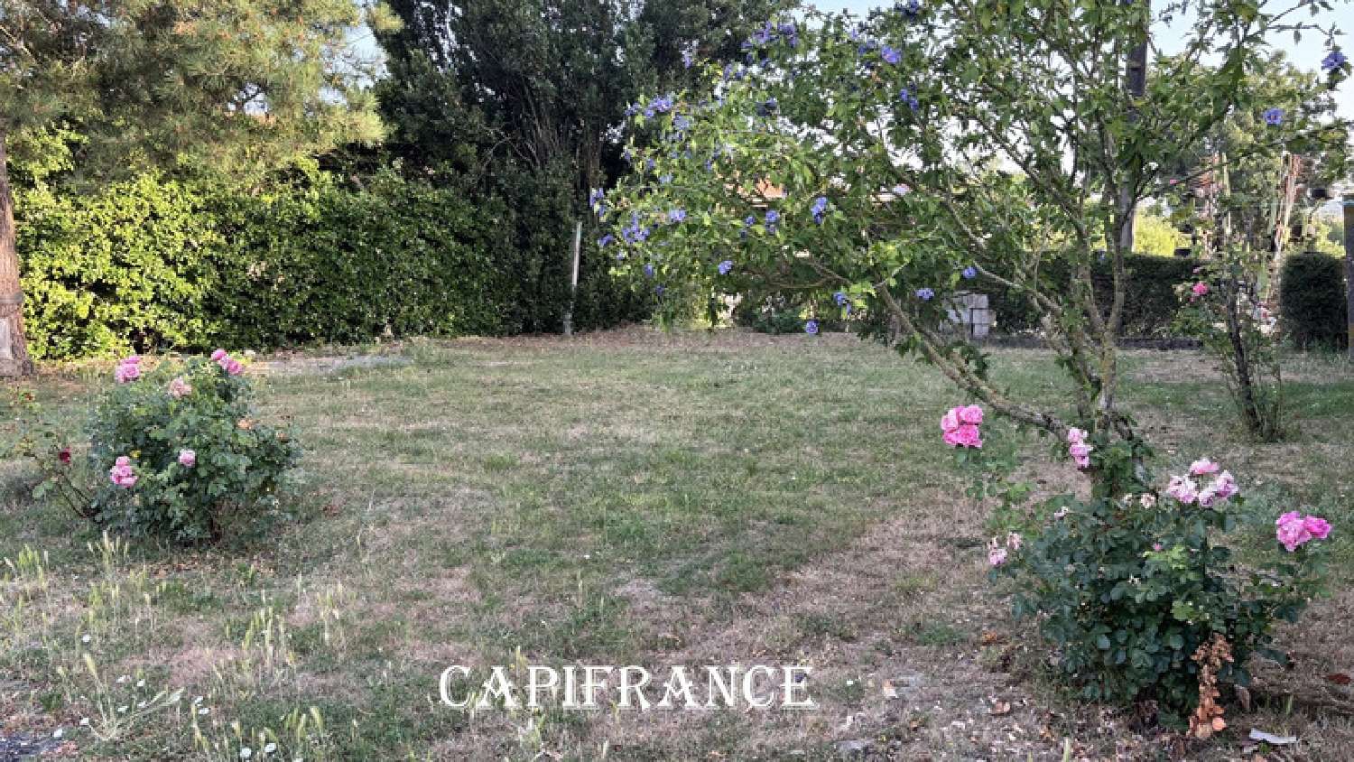 for sale farm Moragne Charente-Maritime 2