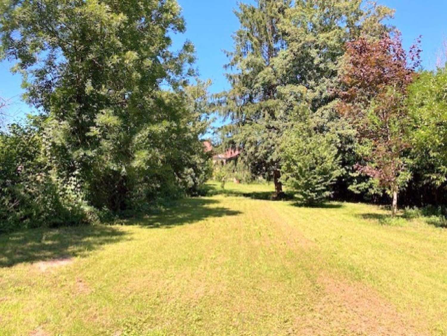 for sale farm Sens Yonne 3