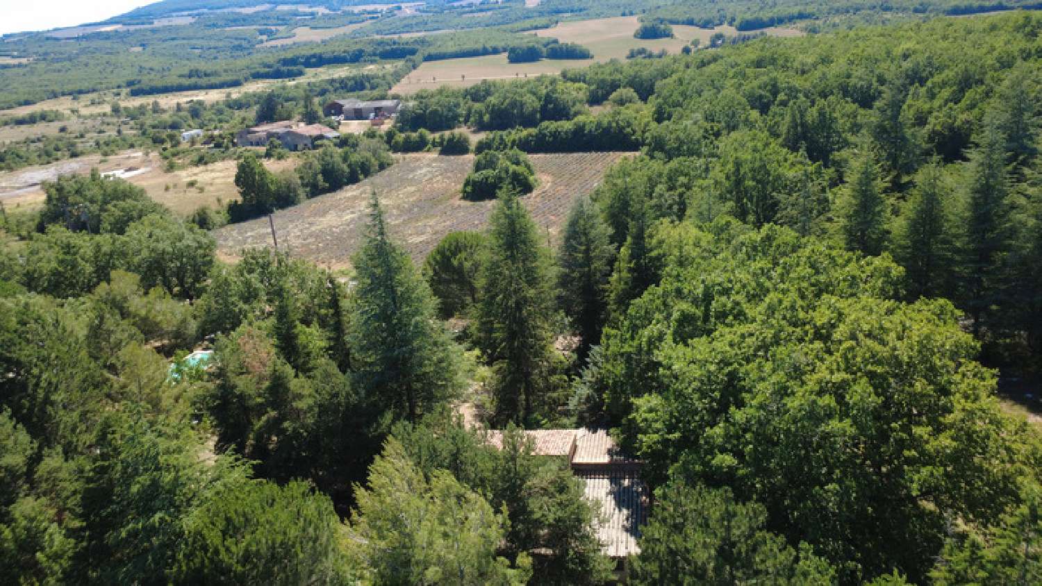  for sale farm Simiane-la-Rotonde Alpes-de-Haute-Provence 2