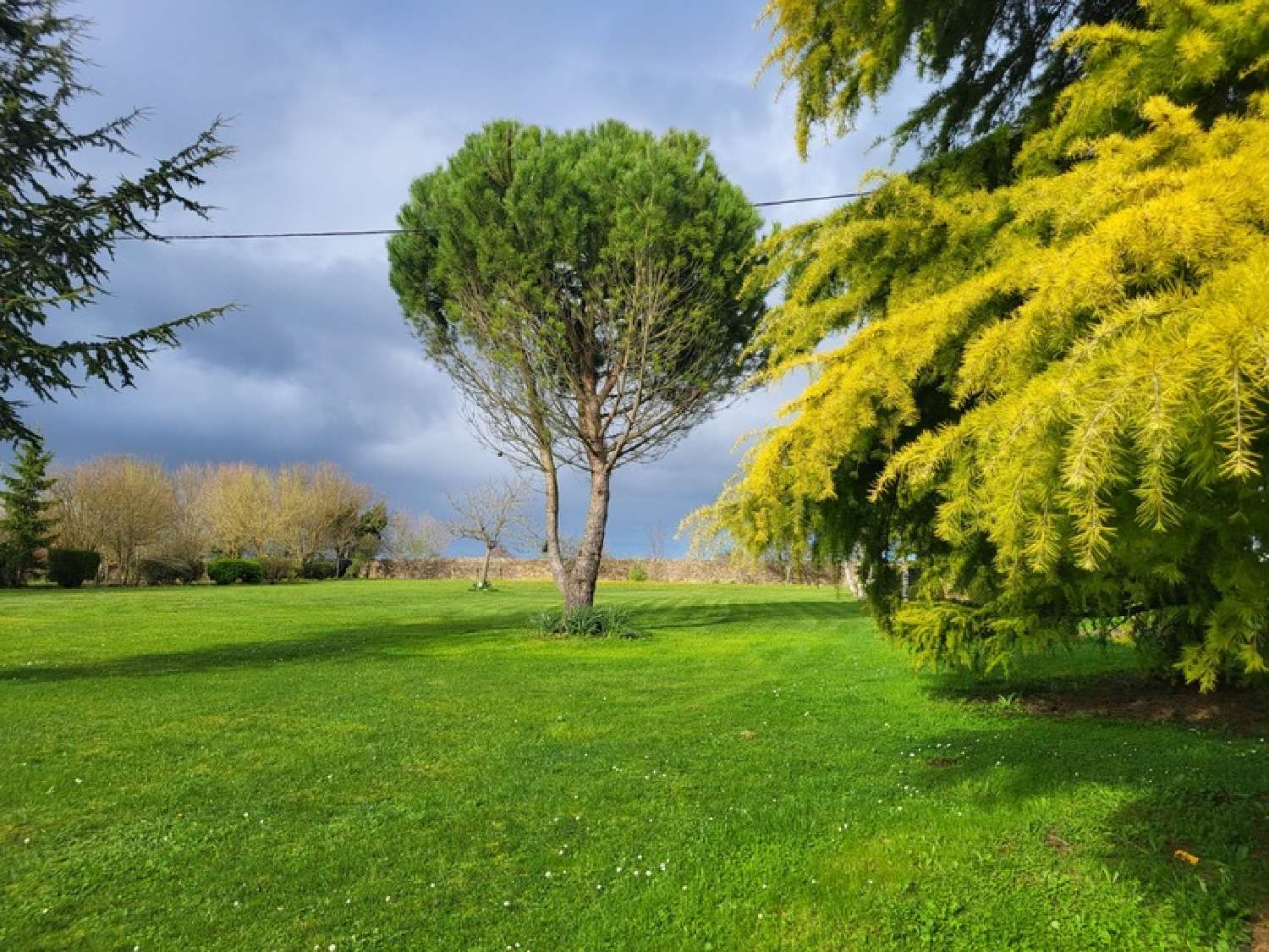 à vendre maison Airvault Deux-Sèvres 3