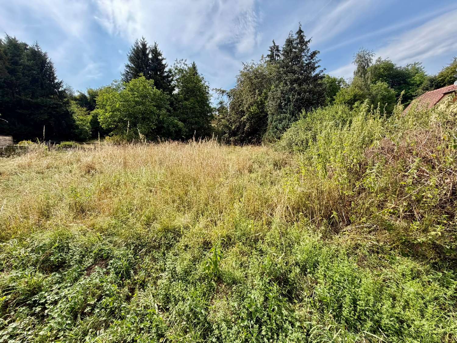  à vendre maison Altkirch Haut-Rhin 6