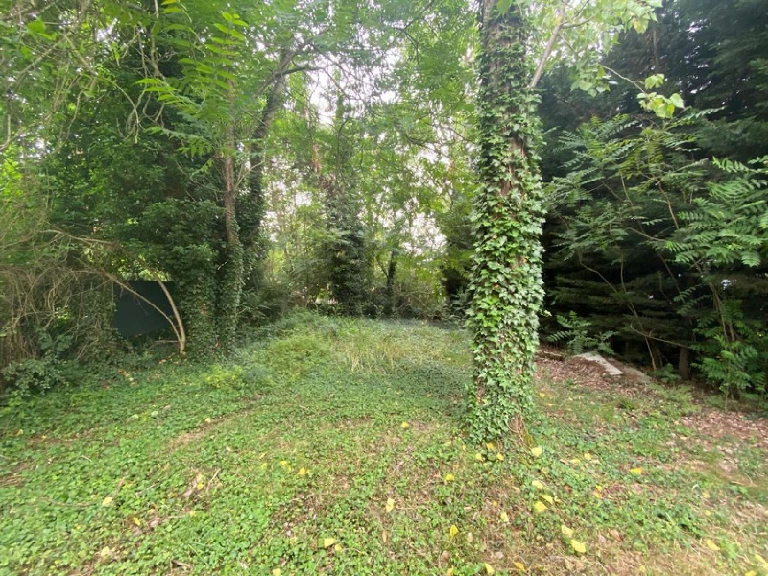 à vendre maison Arnouville-lès-Gonesse Val-d'Oise 3
