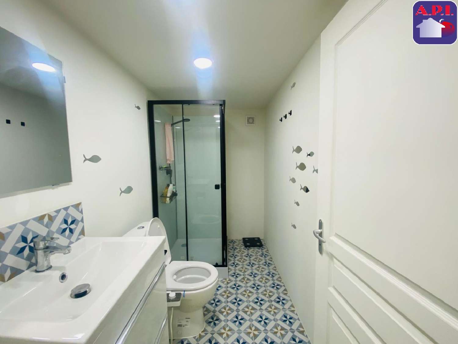 à vendre maison Artigat Ariège 8