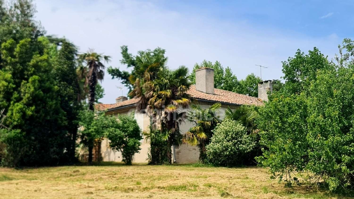  kaufen Haus Auvillar Tarn-et-Garonne 5