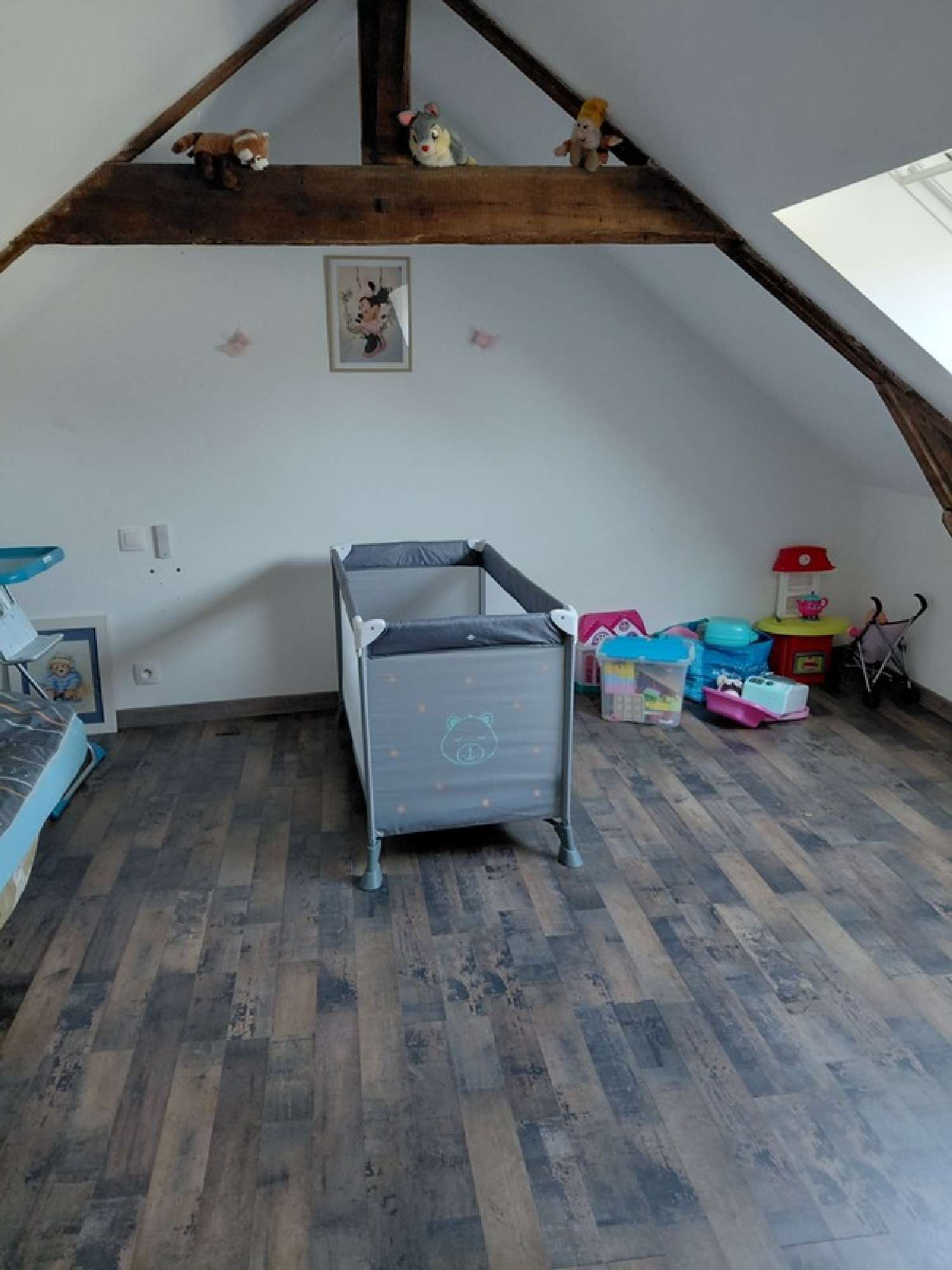  à vendre maison Baracé Maine-et-Loire 8