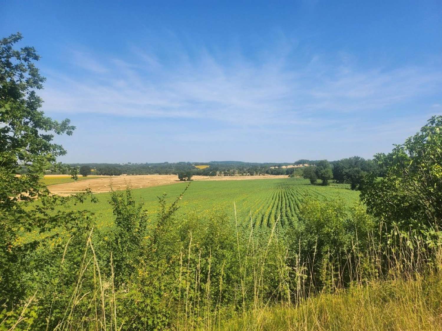 for sale house Beaumont-du-Périgord Dordogne 4