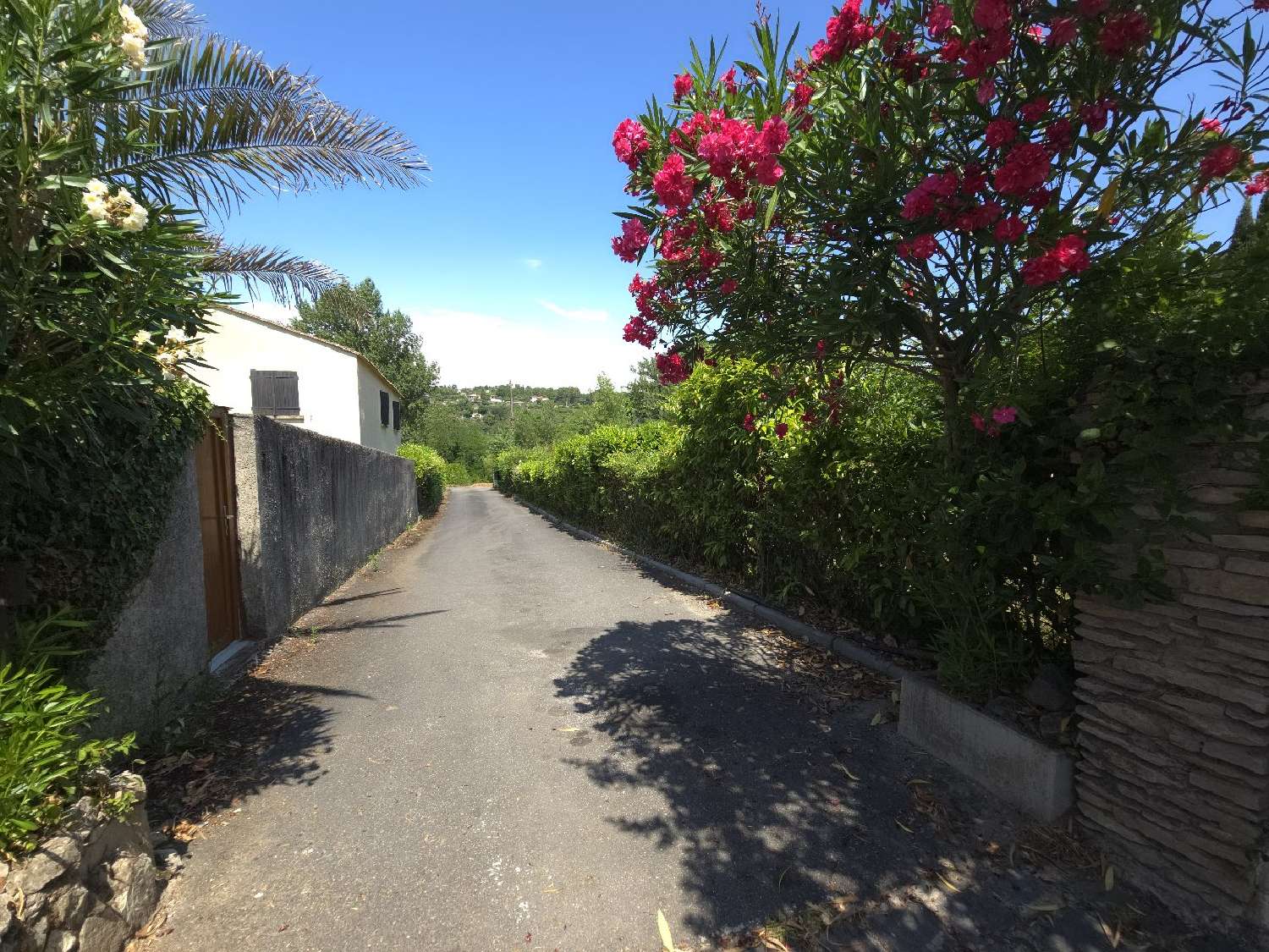 à vendre maison Bédarieux Hérault 1
