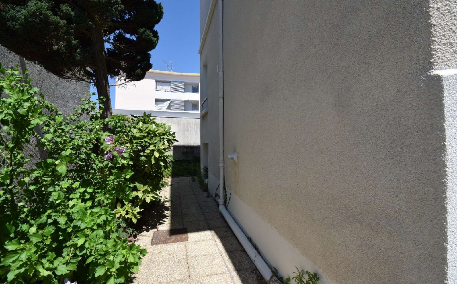 à vendre maison Bellerive-sur-Allier Allier 2