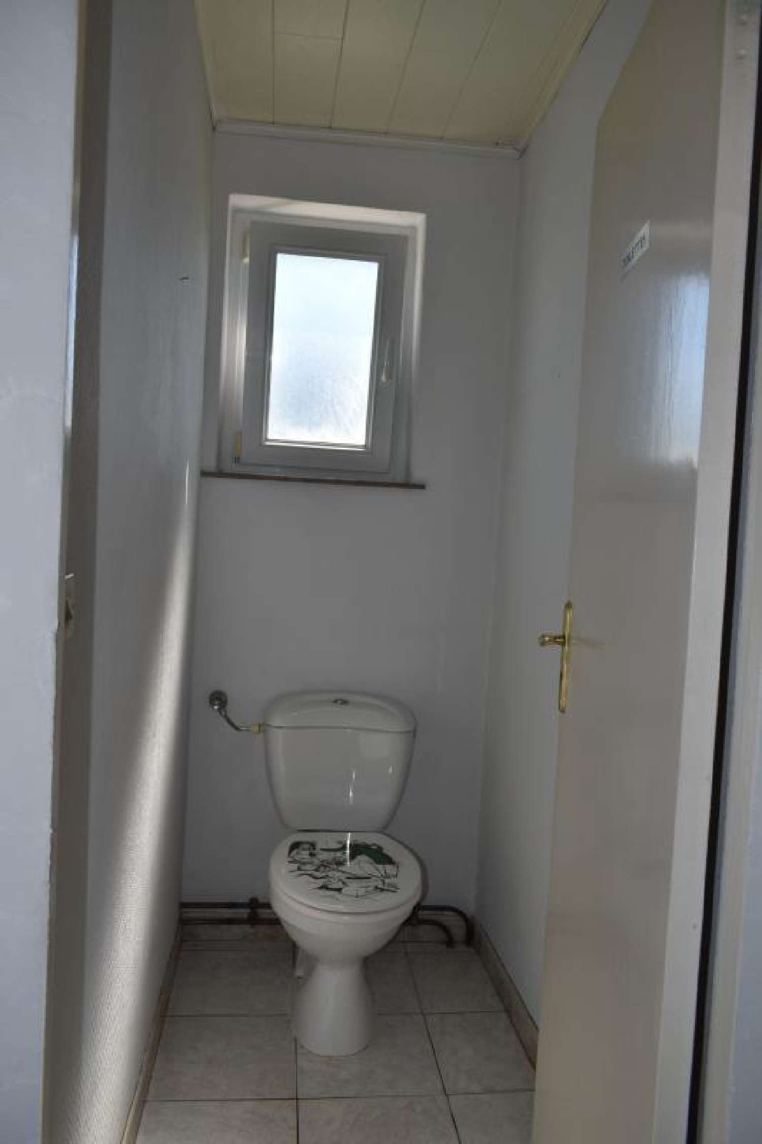 te koop huis Bettwiller Bas-Rhin 7
