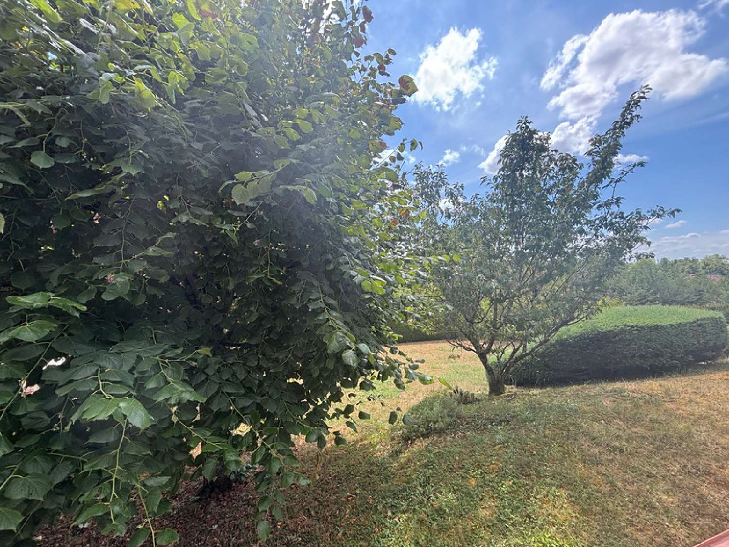 for sale house Bléneau Yonne 6
