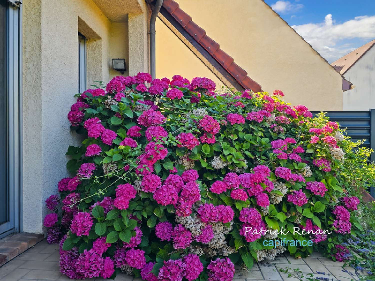 te koop huis Bois-d'Arcy Yvelines 5