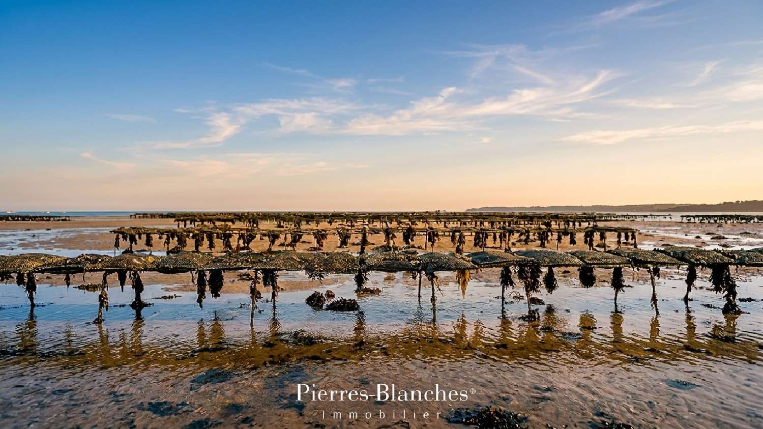  à vendre maison Bouzigues Hérault 4