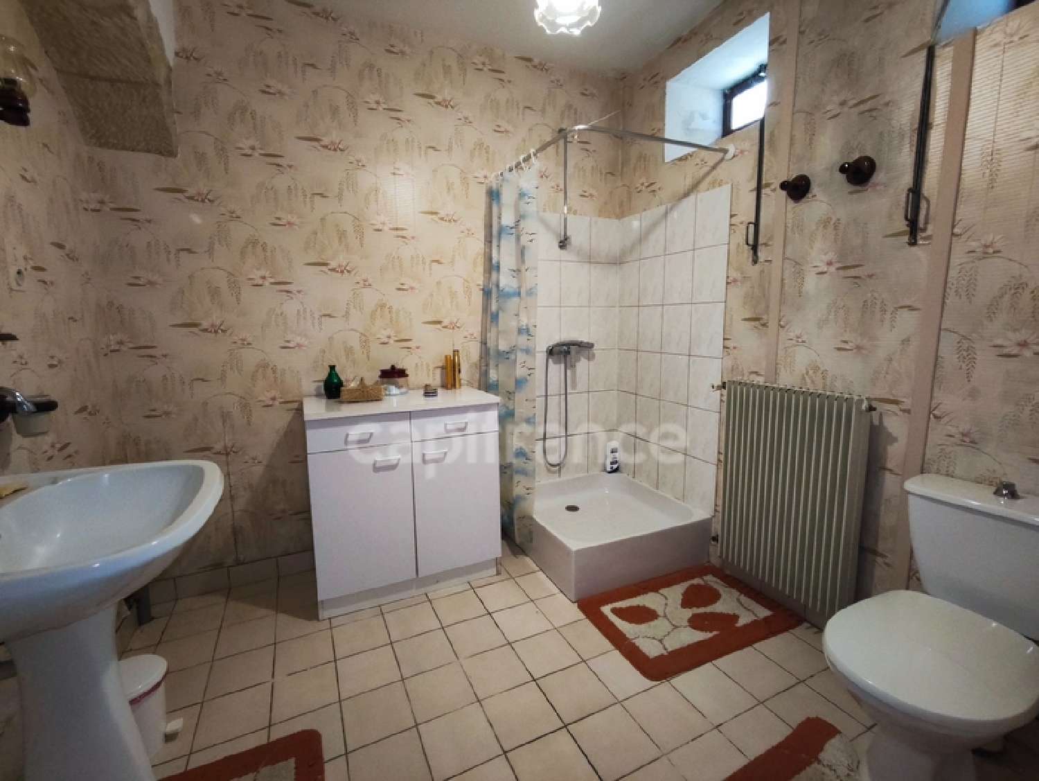 à vendre maison Bragny-en-Charollais Saône-et-Loire 6
