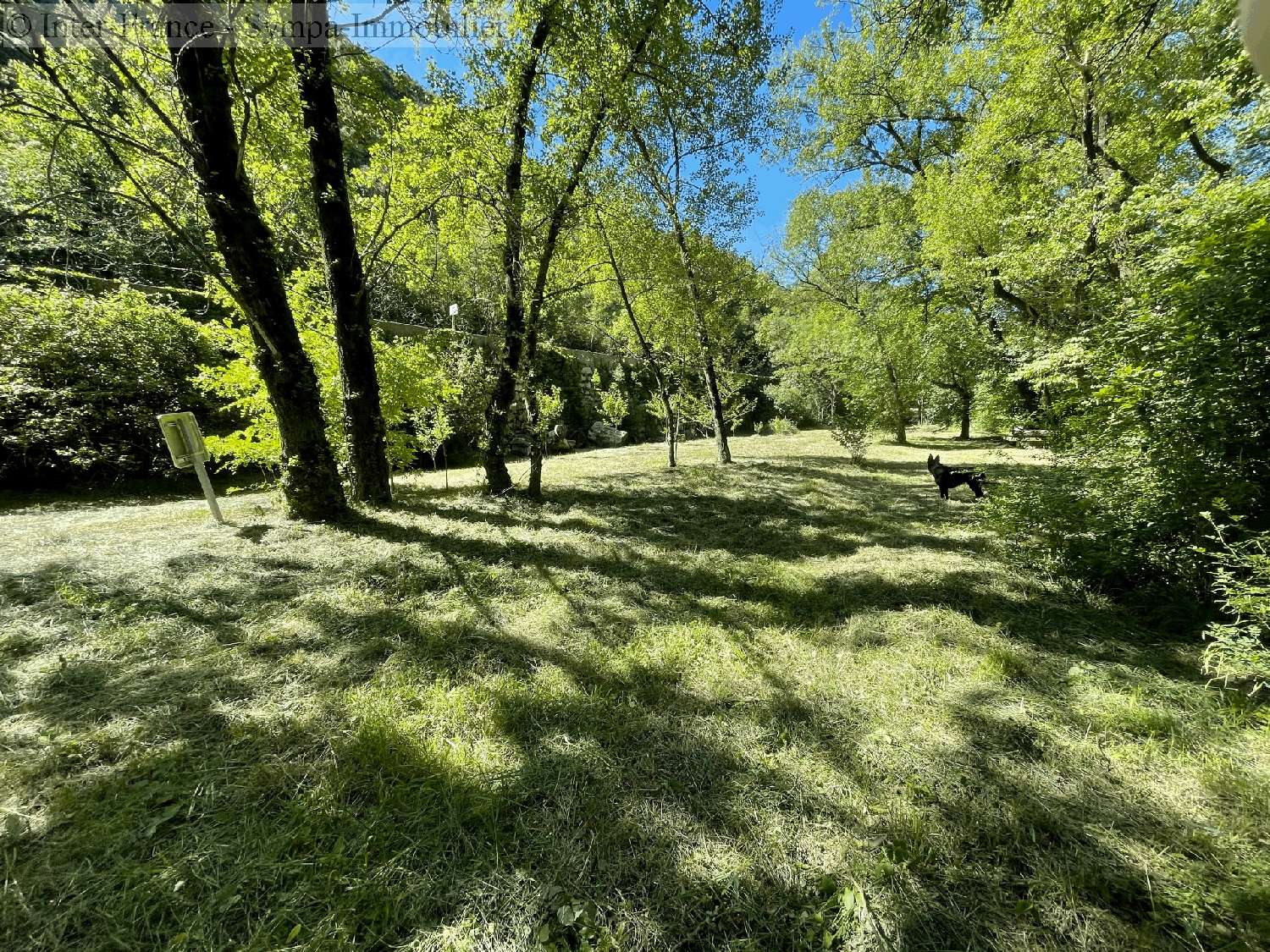 à vendre maison Brissac Hérault 11