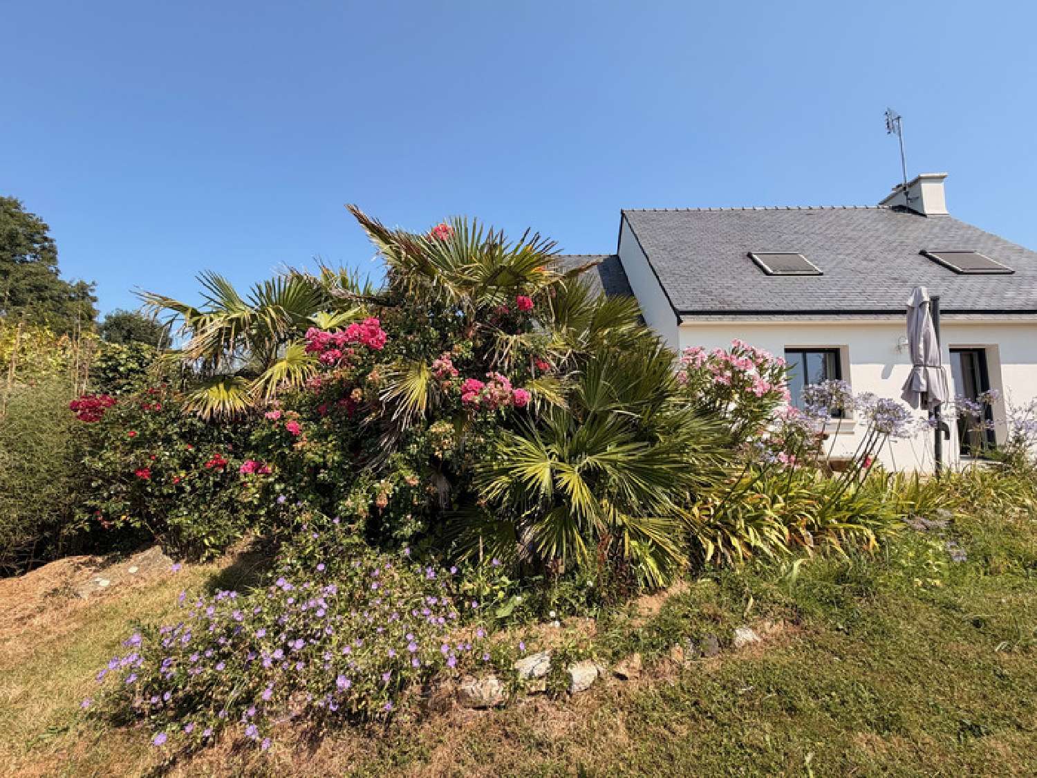 kaufen Haus Camaret-sur-Mer Finistère 4
