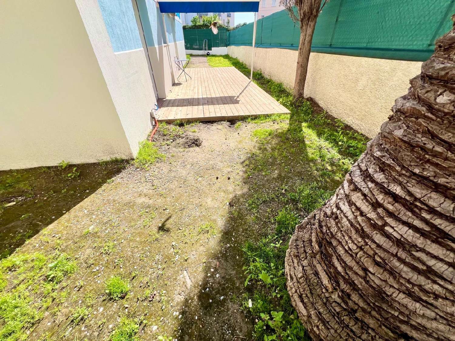 for sale house Cannes Alpes-Maritimes 3