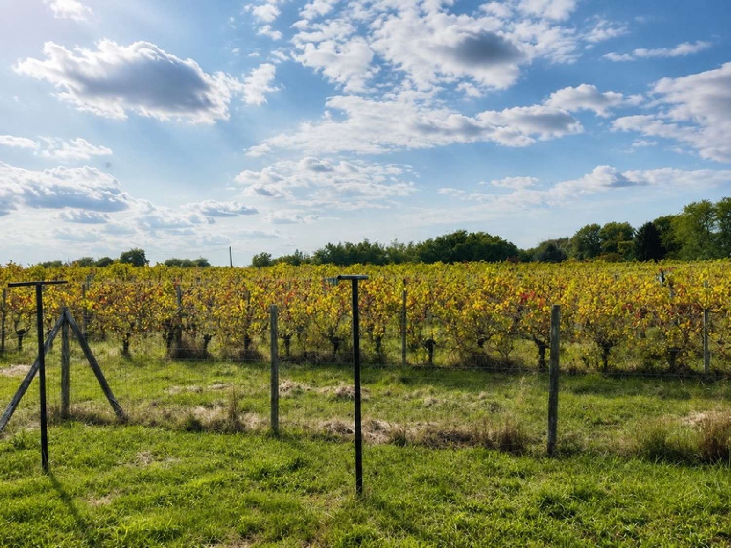 en venta casa Carignan-de-Bordeaux Gironde 3
