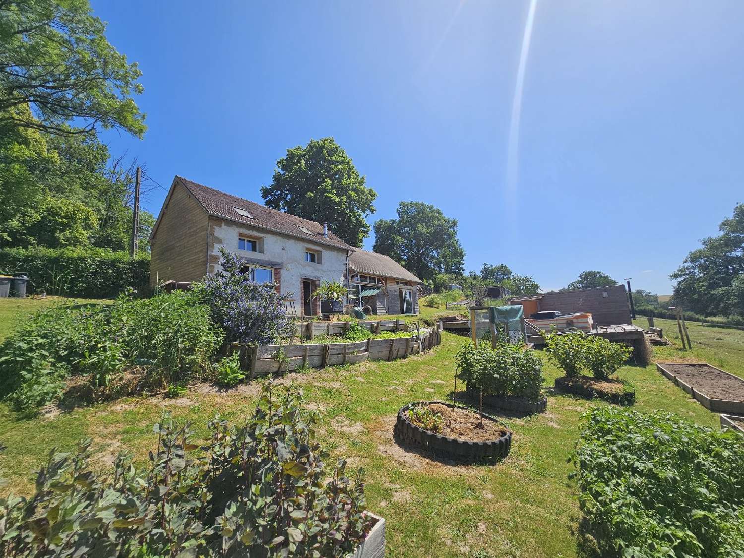 for sale house Cérilly Allier 1
