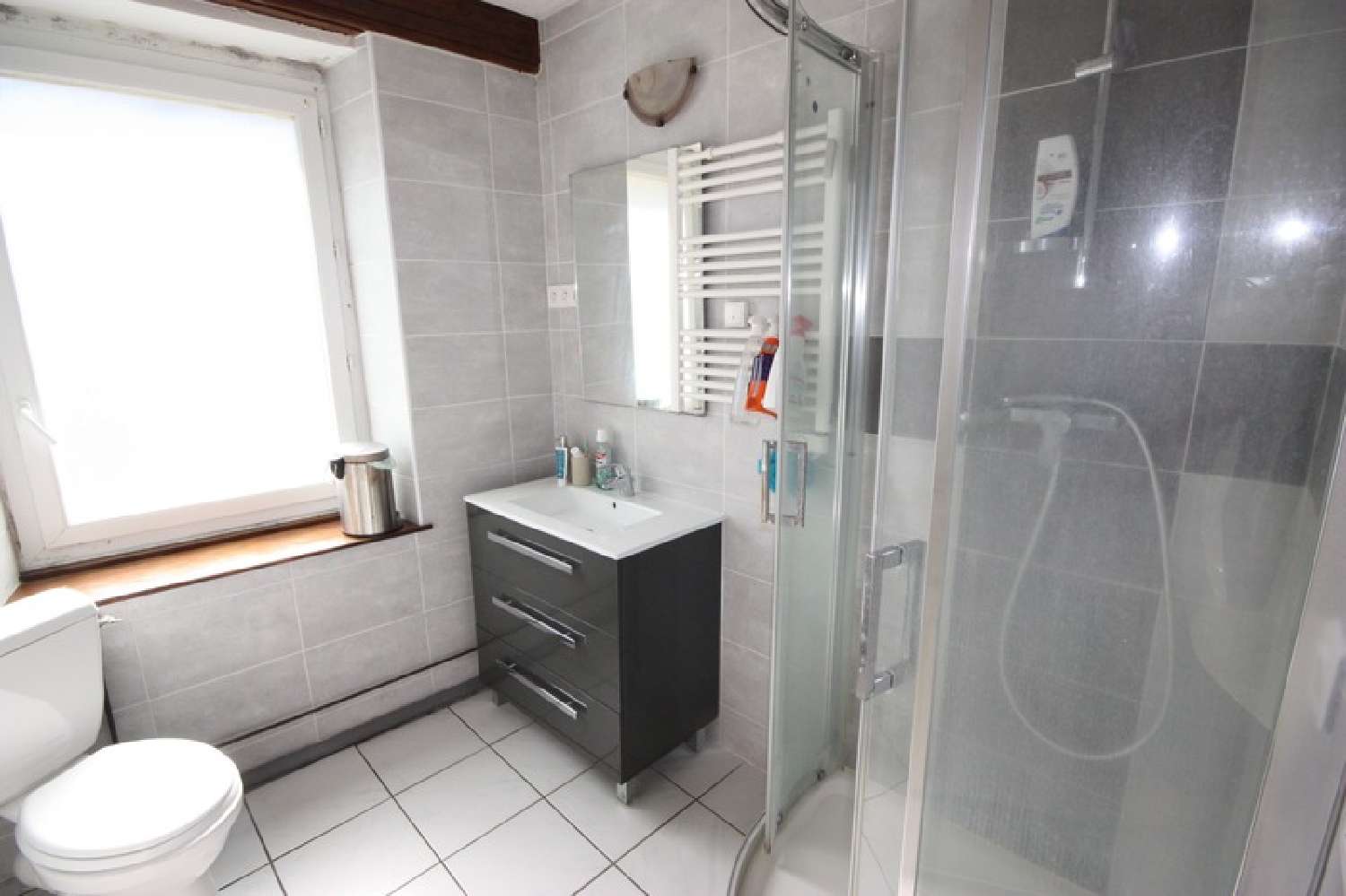 for sale house Chaley Ain 7