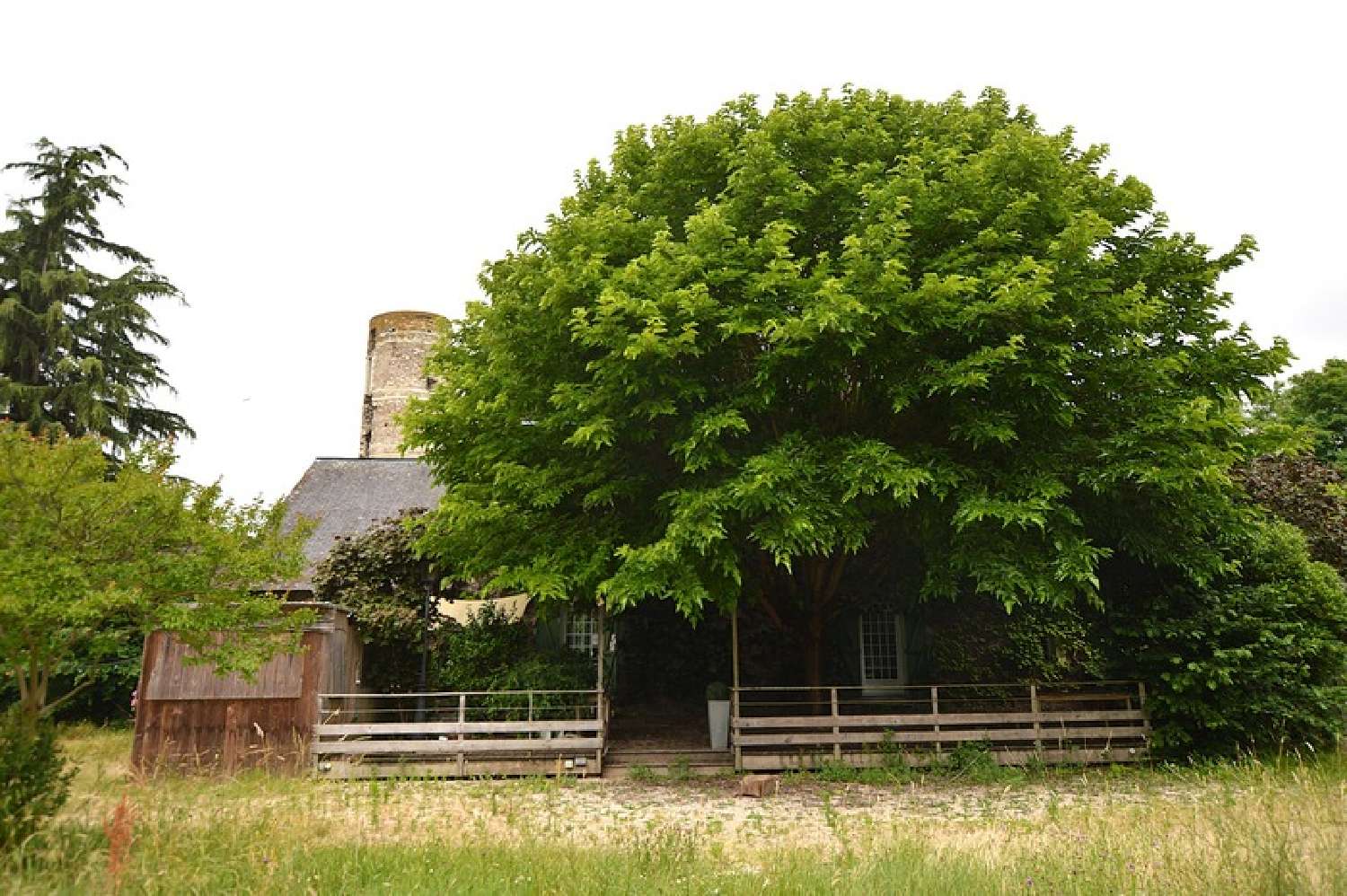 for sale house Champtocé-sur-Loire Maine-et-Loire 7