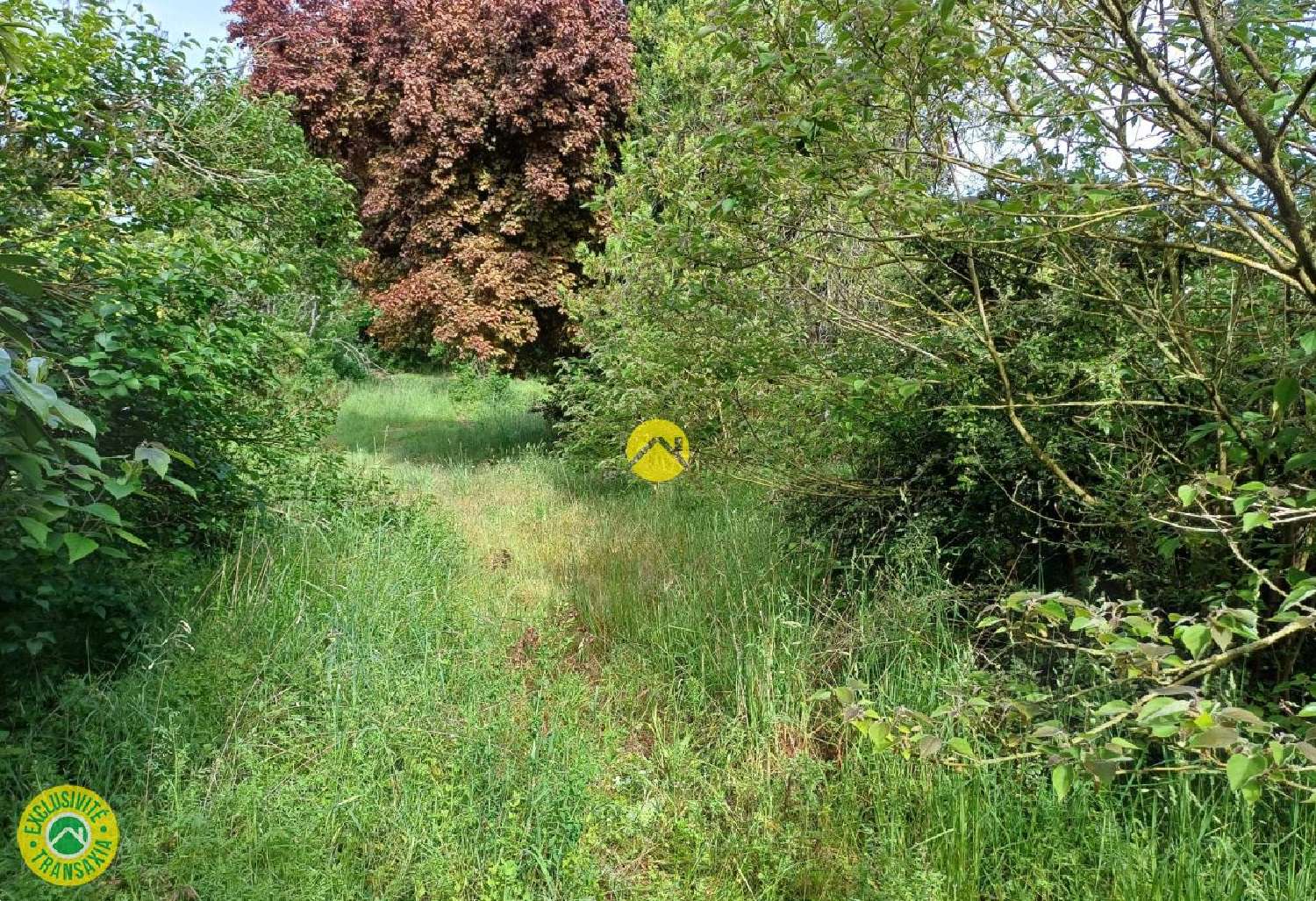 à vendre maison Chârost Cher 2