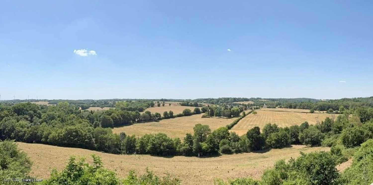 for sale house Charroux Vienne 4