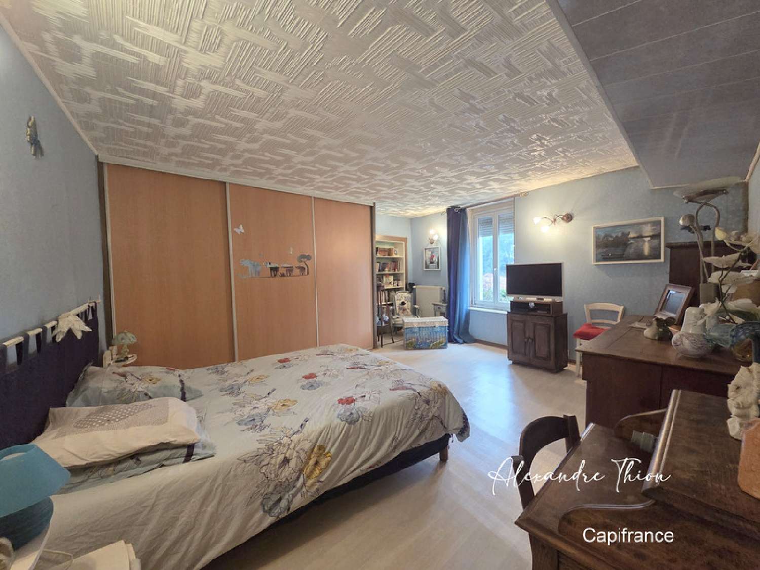 à vendre maison Châtillon-la-Palud Ain 6