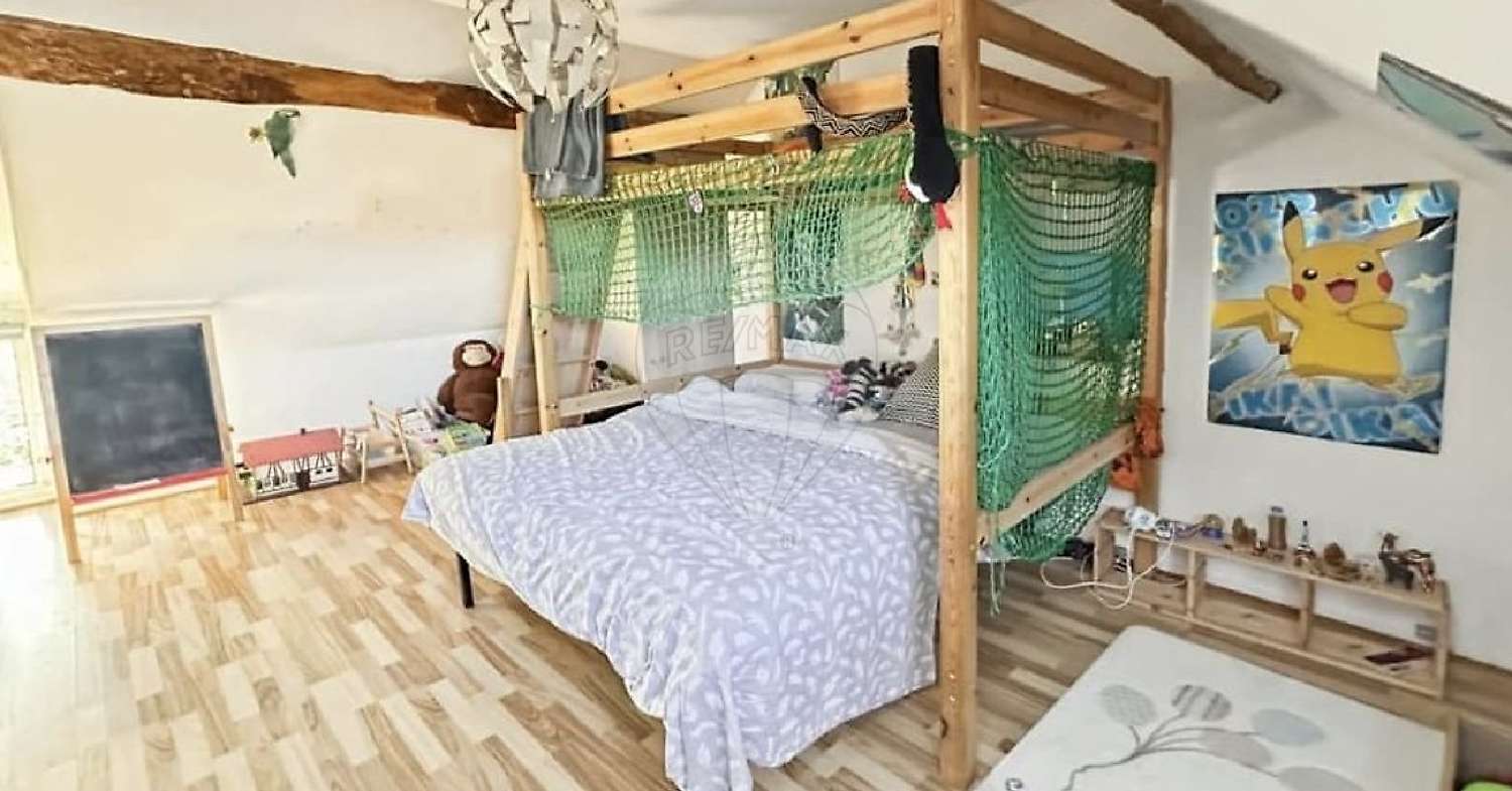 te koop huis Châtillon-la-Borde Seine-et-Marne 8