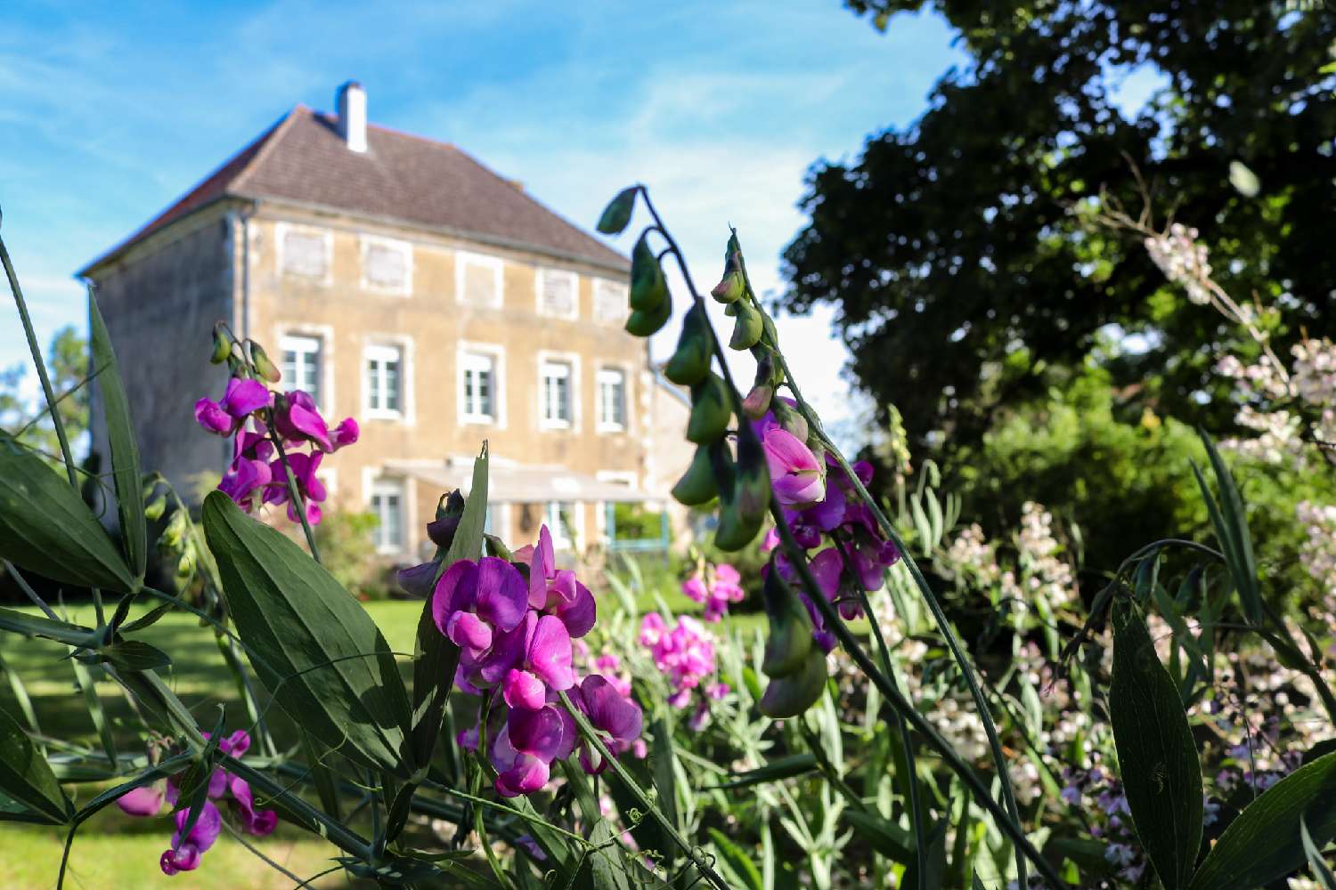  à vendre maison Chauffourt Haute-Marne 2