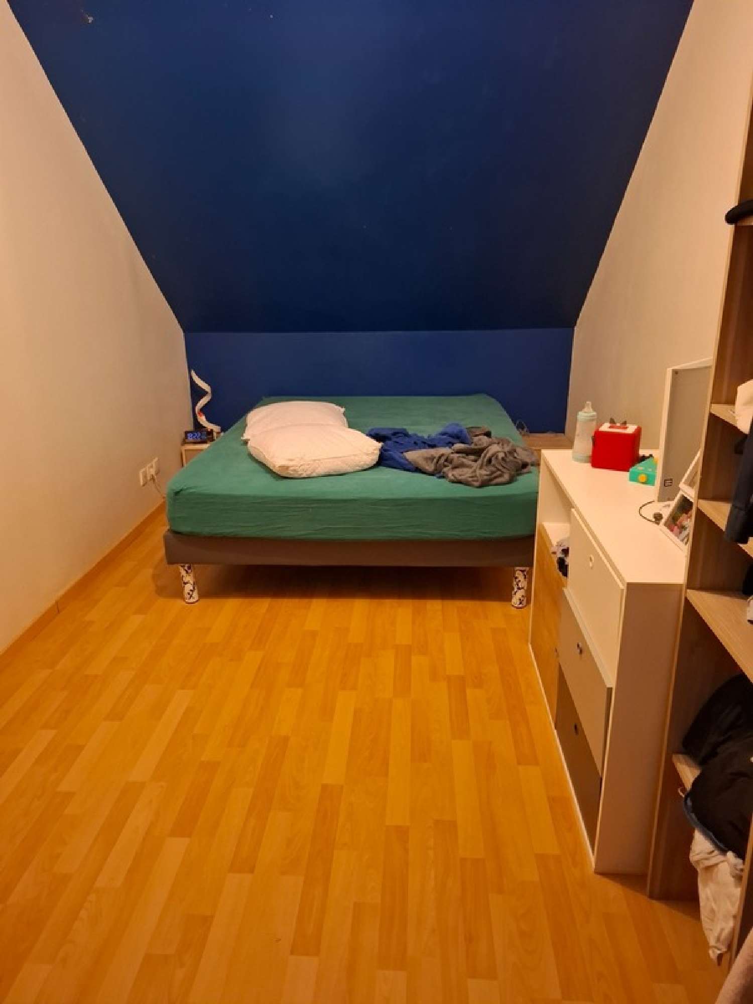 te koop huis Cinq-Mars-la-Pile Indre-et-Loire 8