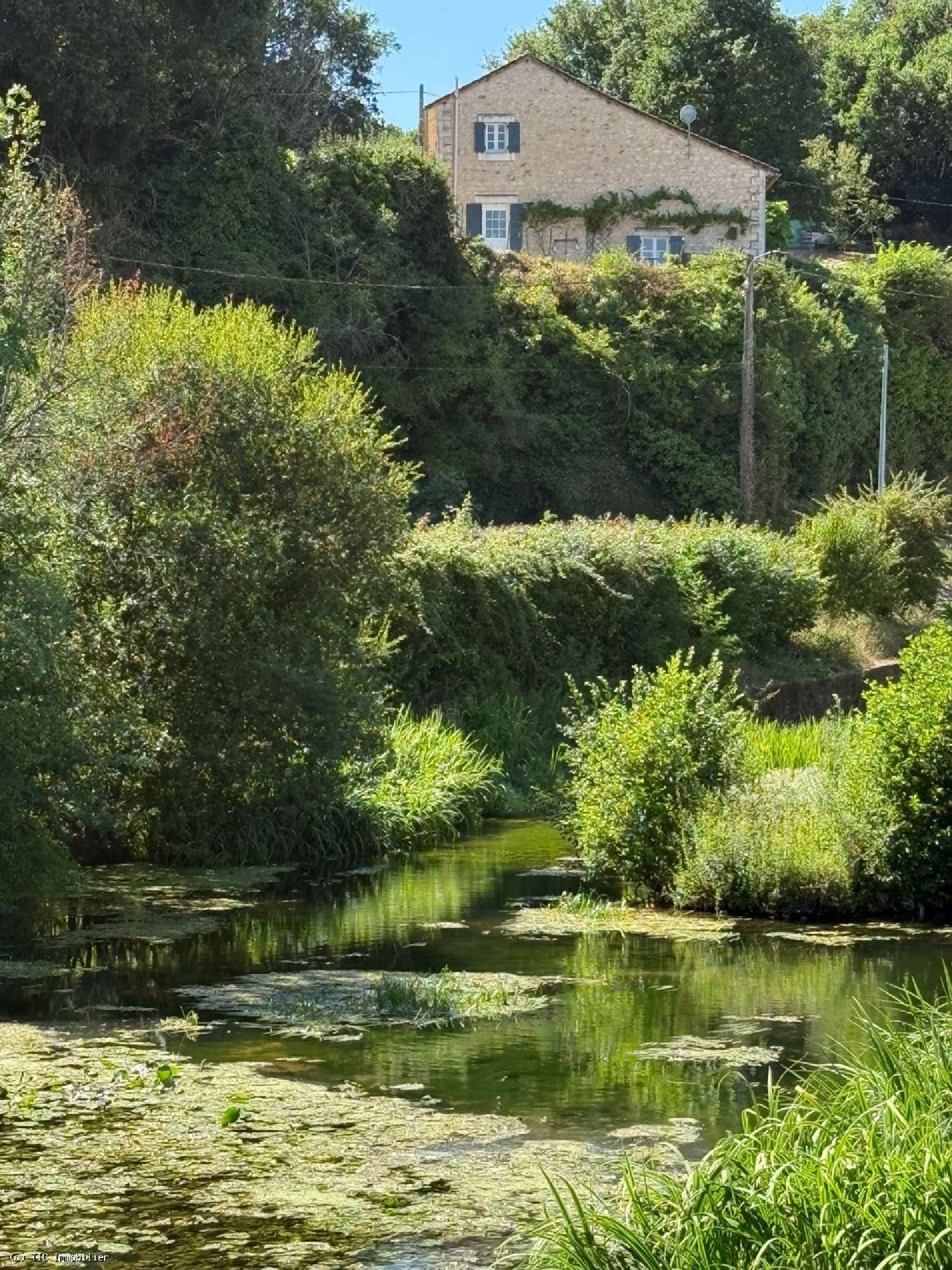 for sale house Civray Vienne 3