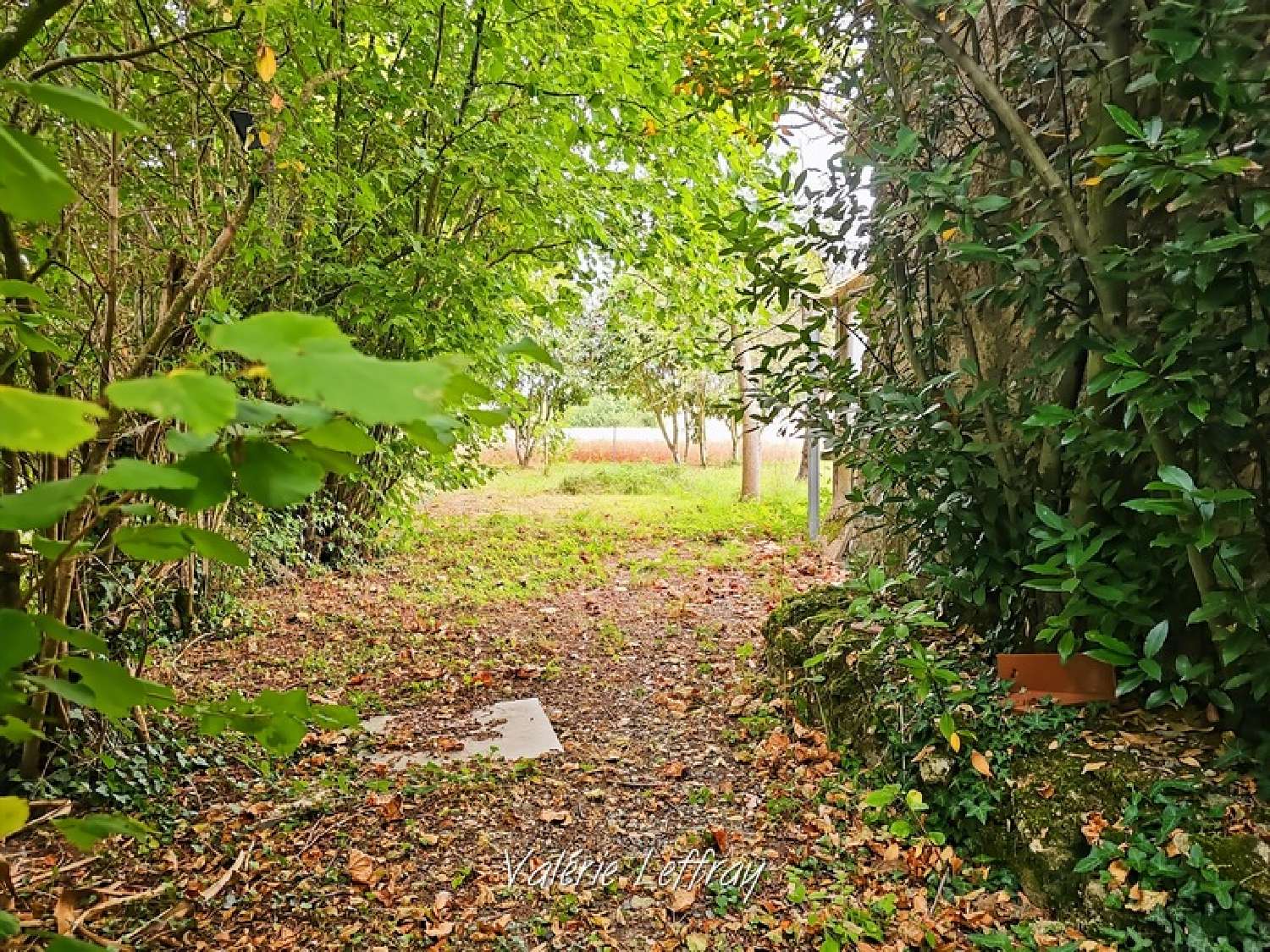  for sale house Congé-sur-Orne Sarthe 3