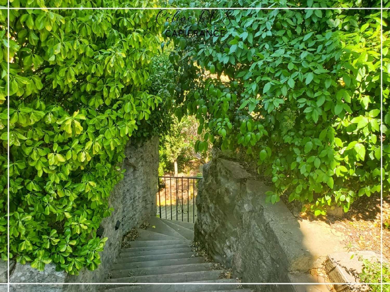  à vendre maison Cornillon-Confoux Bouches-du-Rhône 7
