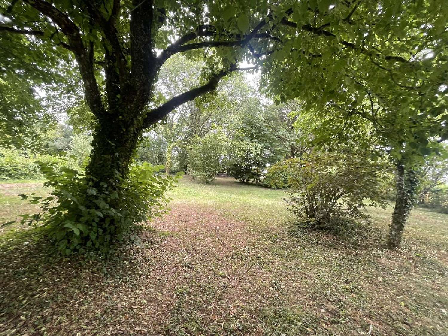  à vendre maison Coudreceau Eure-et-Loir 2