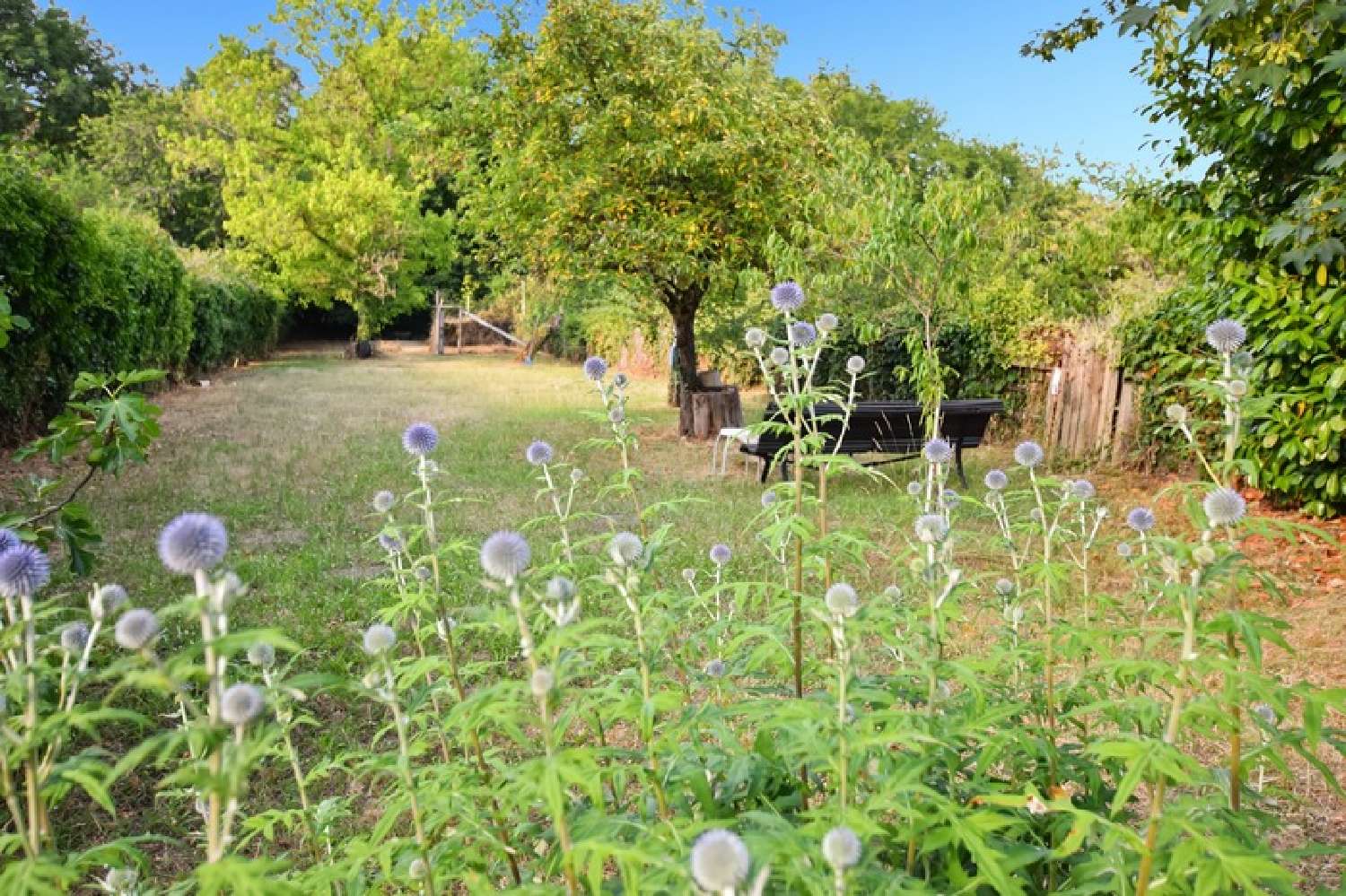  for sale house Créot Saône-et-Loire 8
