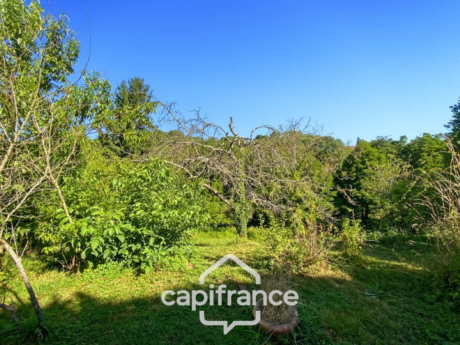 for sale house Cuiseaux Saône-et-Loire 2