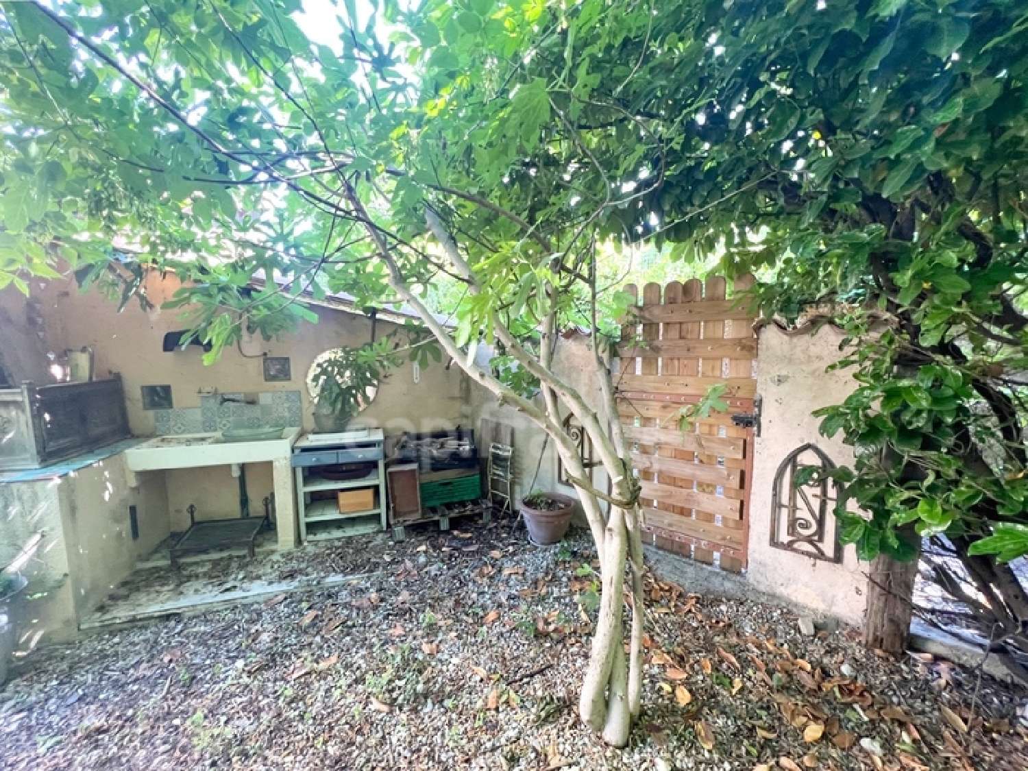 kaufen Haus Digne-Les-Bains Alpes-de-Haute-Provence 6