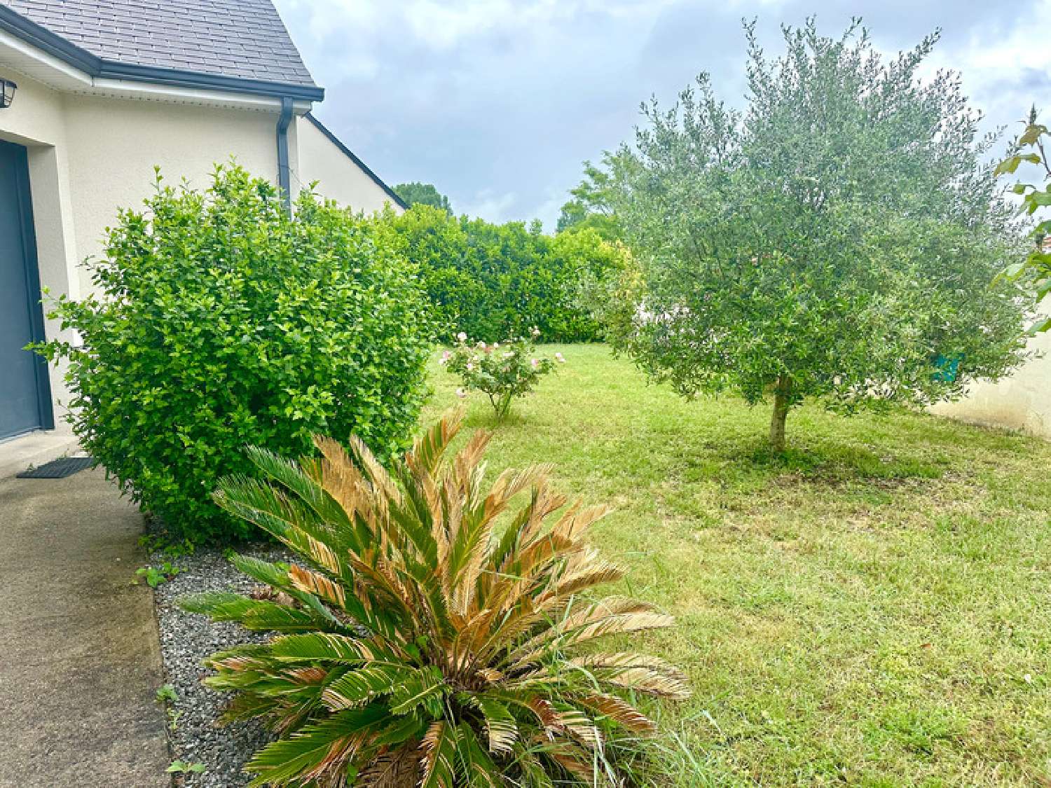 for sale house Distré Maine-et-Loire 1