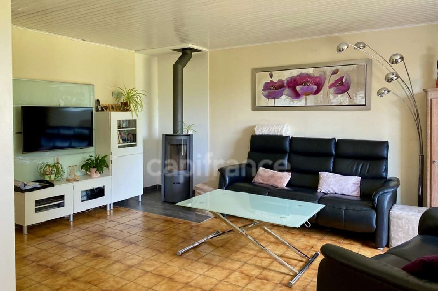  kaufen Haus Échenevex Ain 5
