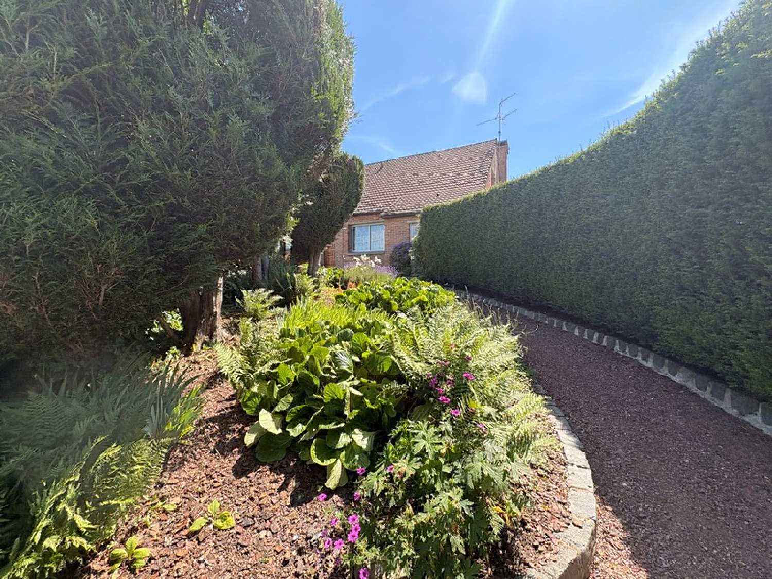 for sale house Ennevelin Nord 1