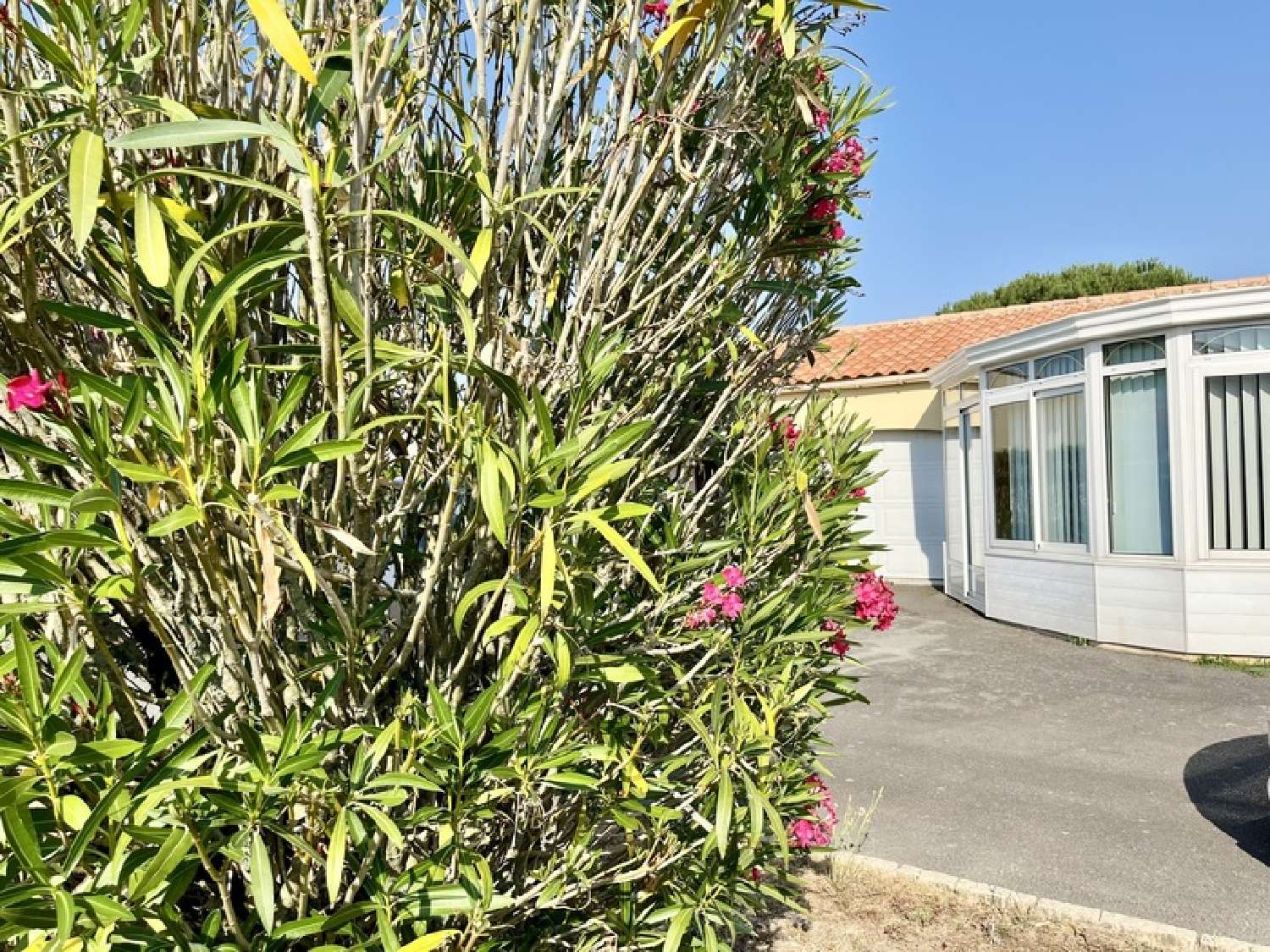  à vendre maison Falleron Vendée 2