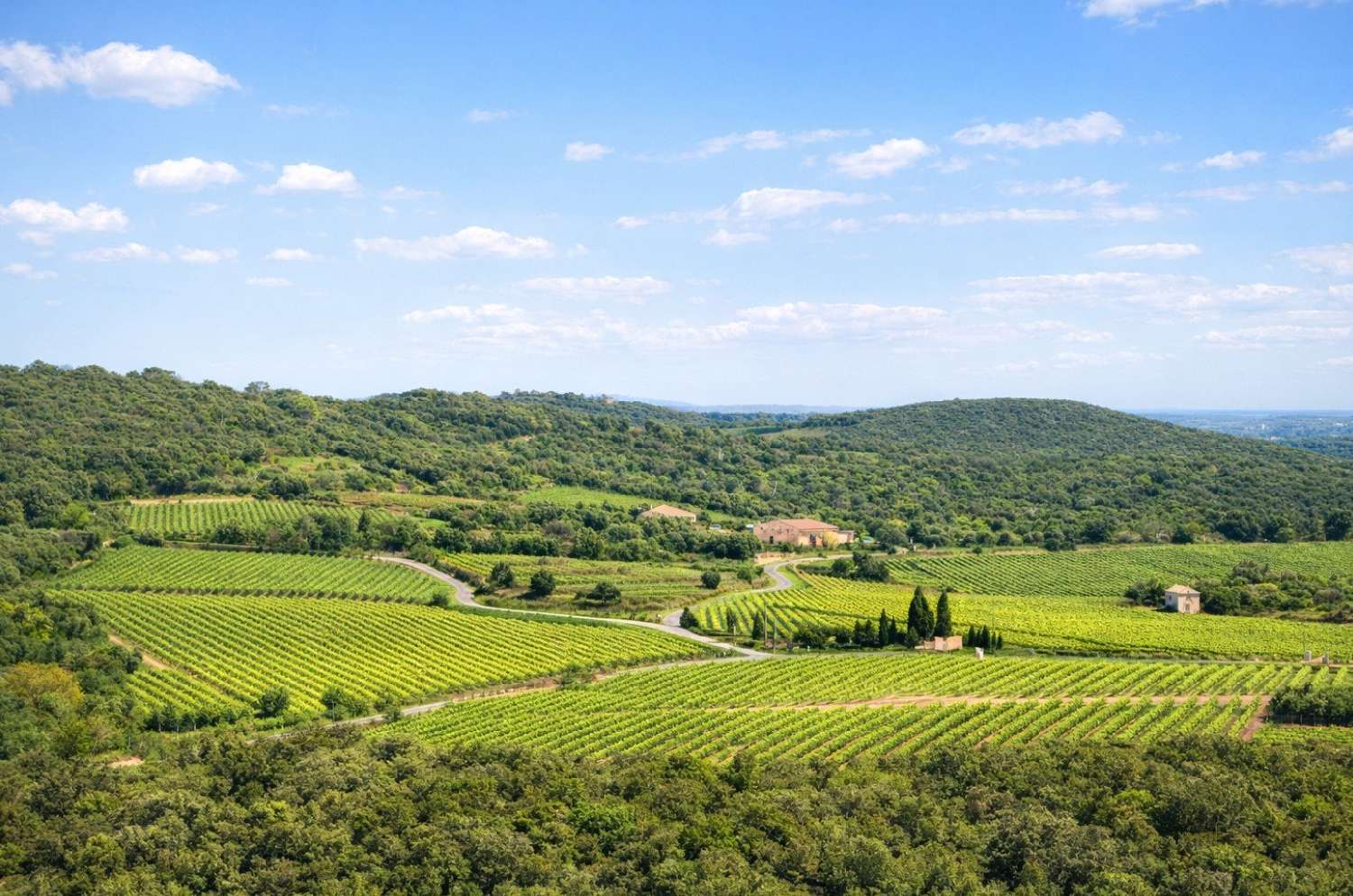  à vendre maison Faugères Hérault 2