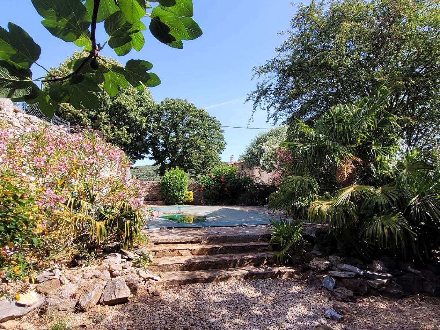  à vendre maison Faugères Hérault 6
