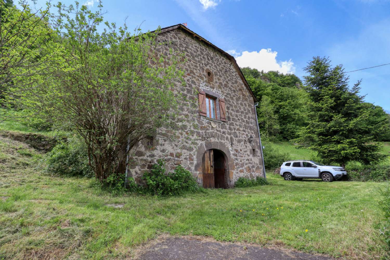 for sale house Fontanges Cantal 3