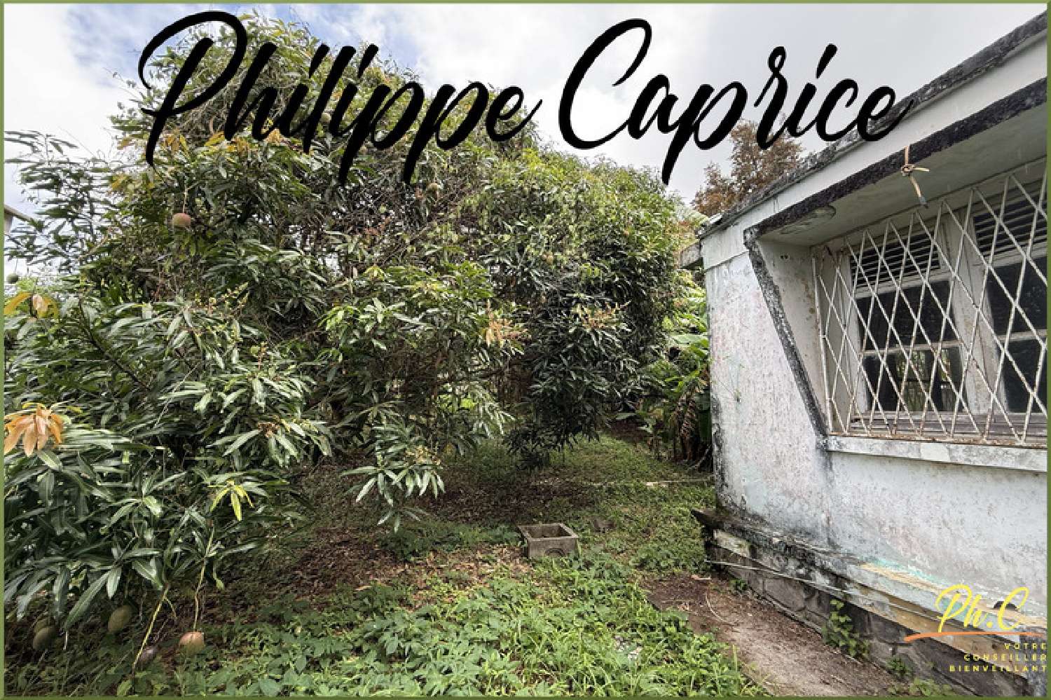  kaufen Haus Fort-de-France Martinique 3
