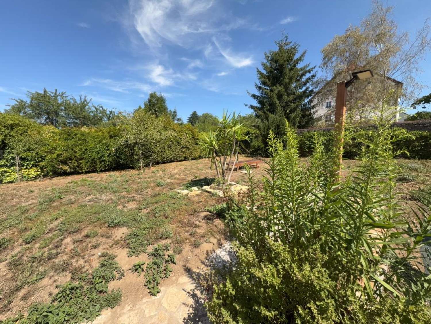 à vendre maison Genevrières Haute-Marne 3
