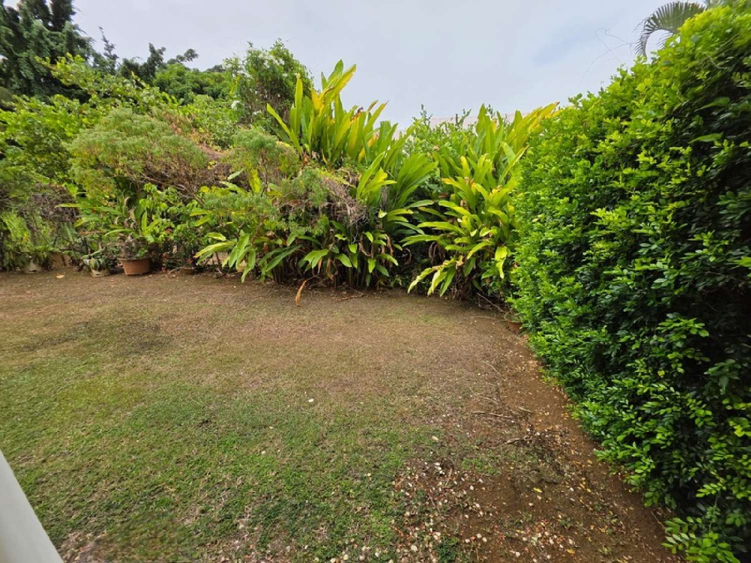kaufen Haus Goyave Guadeloupe 4