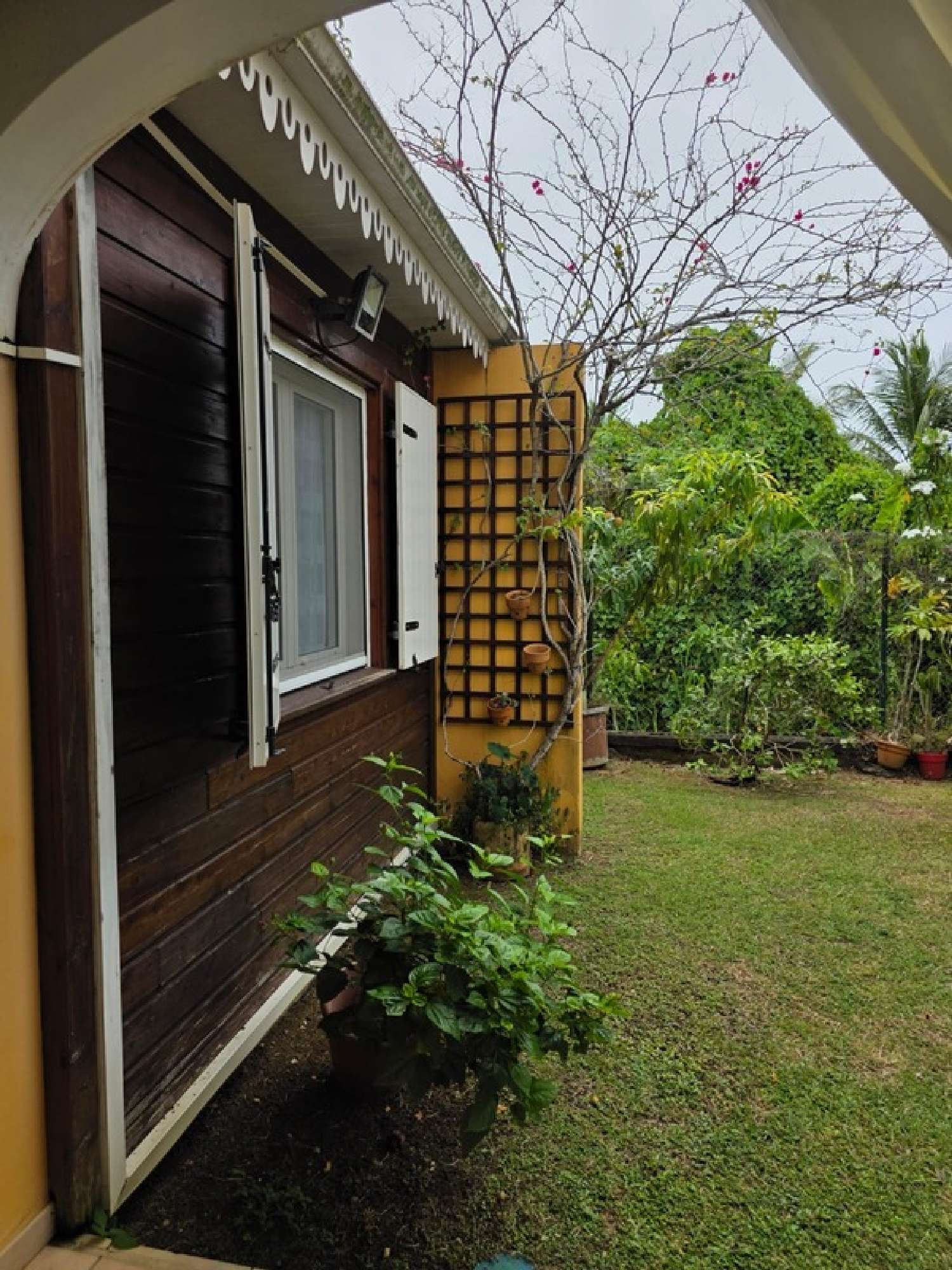 kaufen Haus Goyave Guadeloupe 6